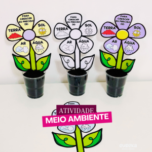 Atividade Interativa Meio Ambiente