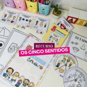 RECURSO OS CINCO SENTIDOS