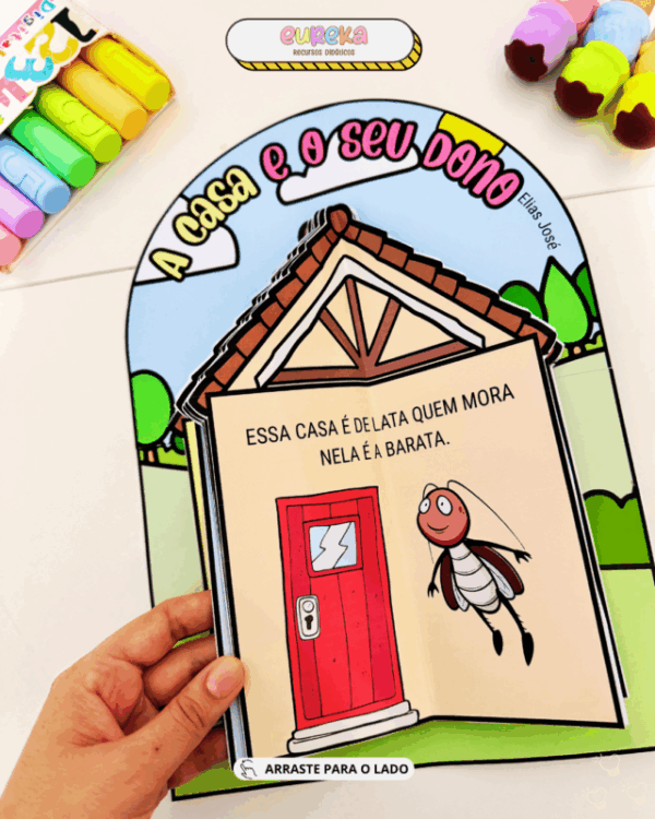 LUVA LIVRO A CASA E SEU DONO - Imagem 8