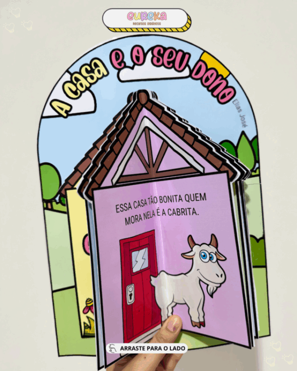 LUVA LIVRO A CASA E SEU DONO - Imagem 3