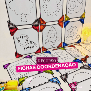 Recurso Fichas de Coordenação